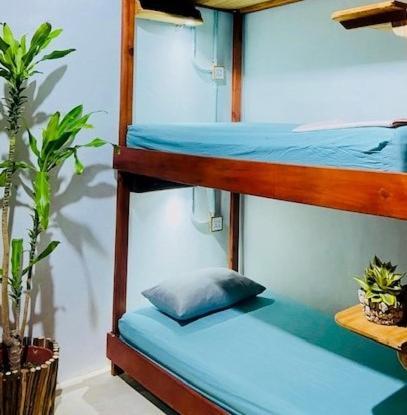 Hostal Holbox Exteriör bild